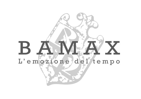 BAMAX vhodne veže in dodatki